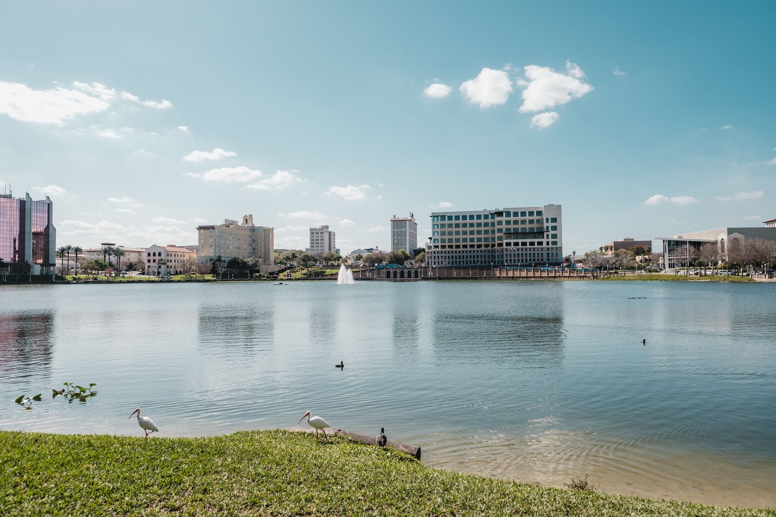 Downtown Lakeland buildings across Lake Mirror on a sunny day, with a fountain and two white ibises on the grassy shore